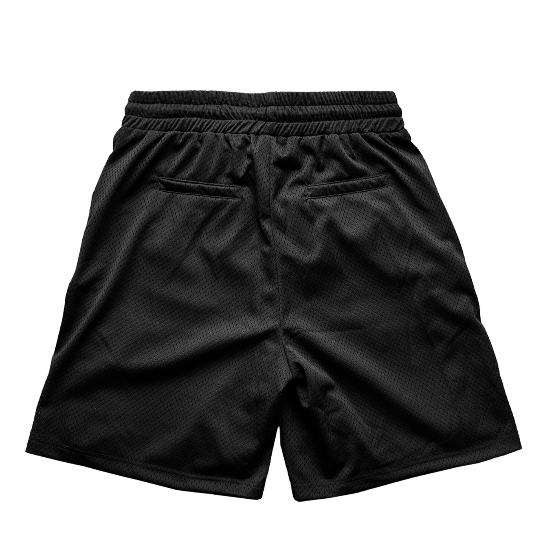 Health is the Real Wealth Mesh Shorts