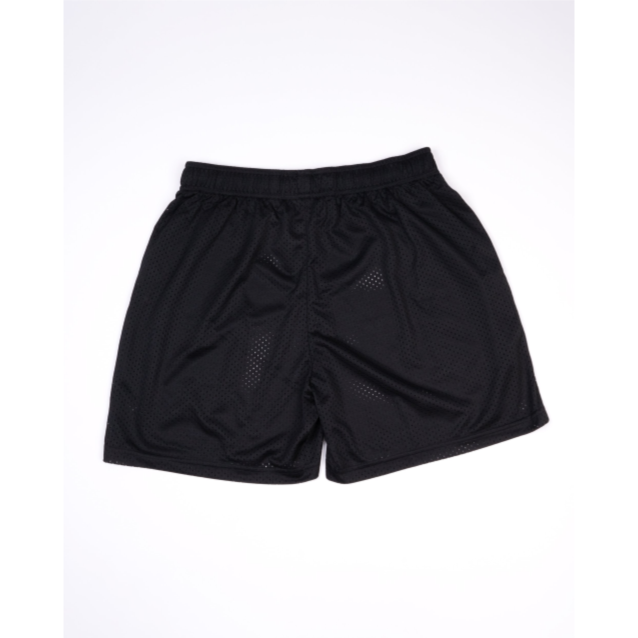 Health is the Real Wealth Mesh Shorts